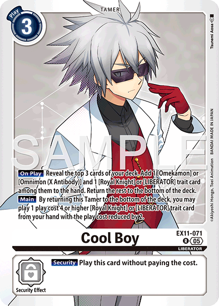 Cool Boy [EX11-071] Rare