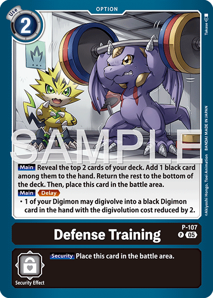 Defense Training [P-107] Promo