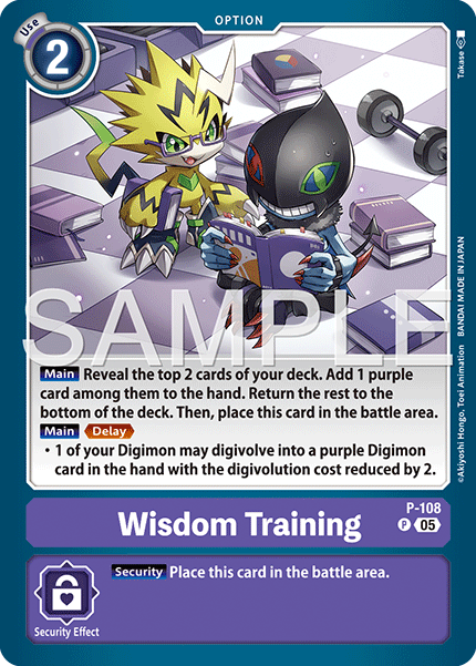 Wisdom Training [P-108] Promo